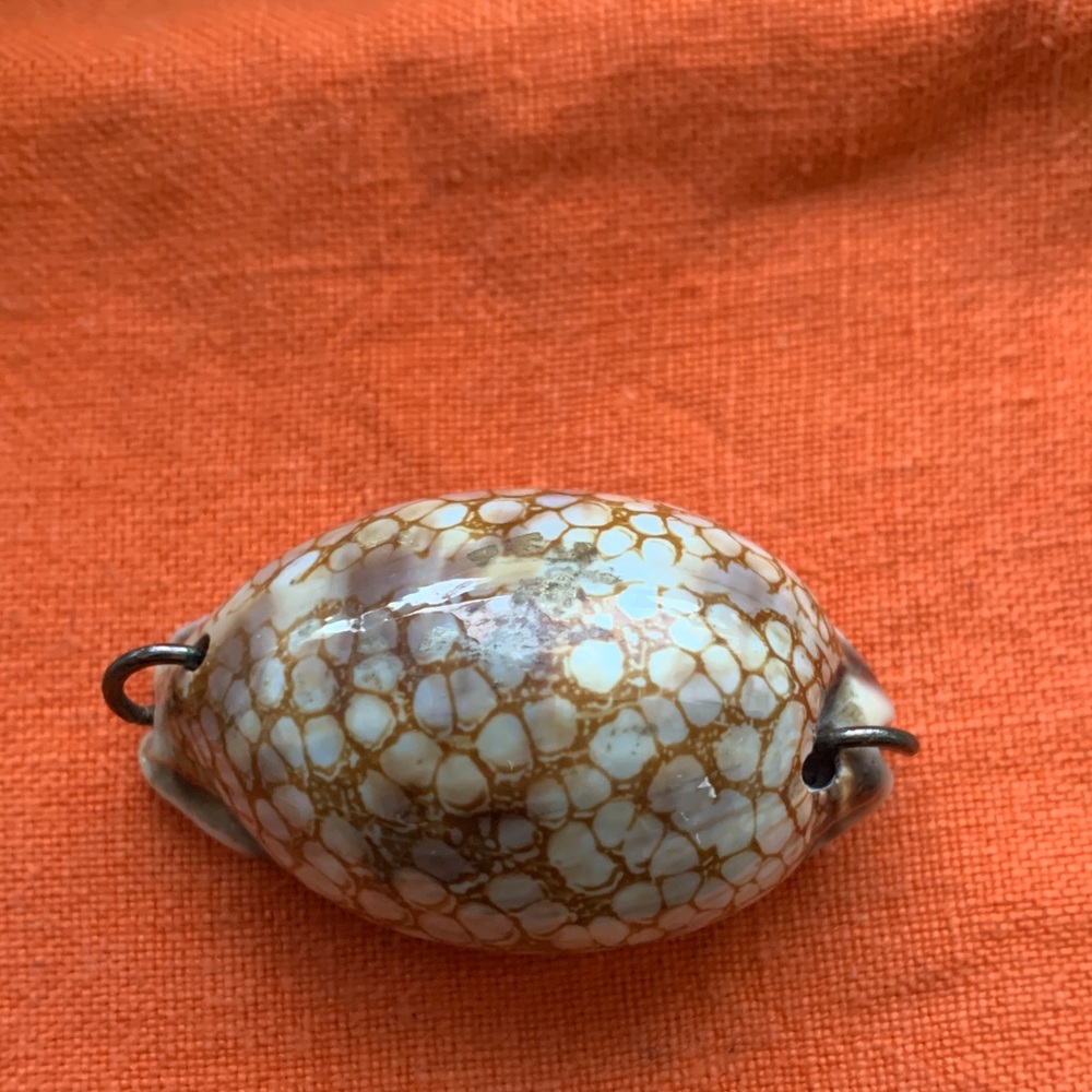 Polished Shell Pendant